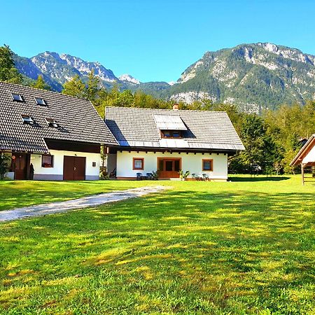 Apartmaji Zupanc Ivanka Bohinj Exteriér fotografie